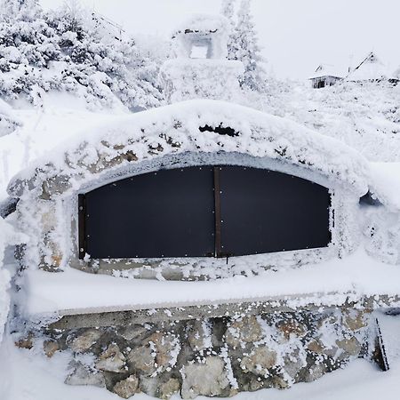 Vila Koca Ojstrica - Velika Planina Stahovica Exteriér fotografie