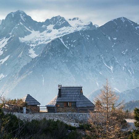 Vila Koca Ojstrica - Velika Planina Stahovica Exteriér fotografie
