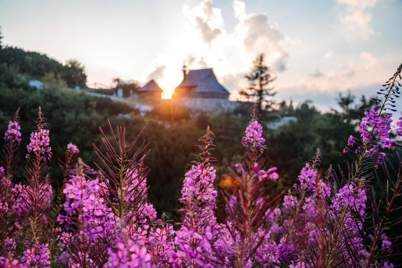 Vila Koca Ojstrica - Velika Planina Stahovica Exteriér fotografie