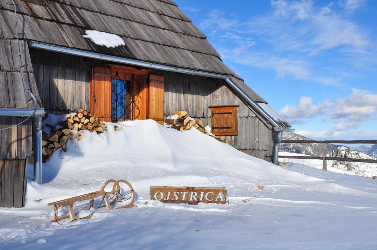 Vila Koca Ojstrica - Velika Planina Stahovica Exteriér fotografie