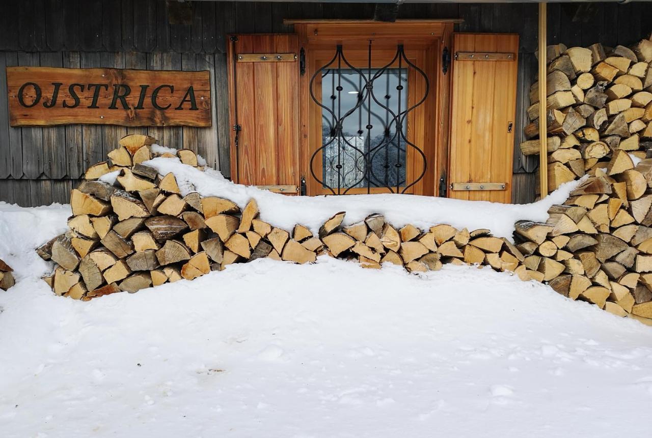 Vila Koca Ojstrica - Velika Planina Stahovica Exteriér fotografie