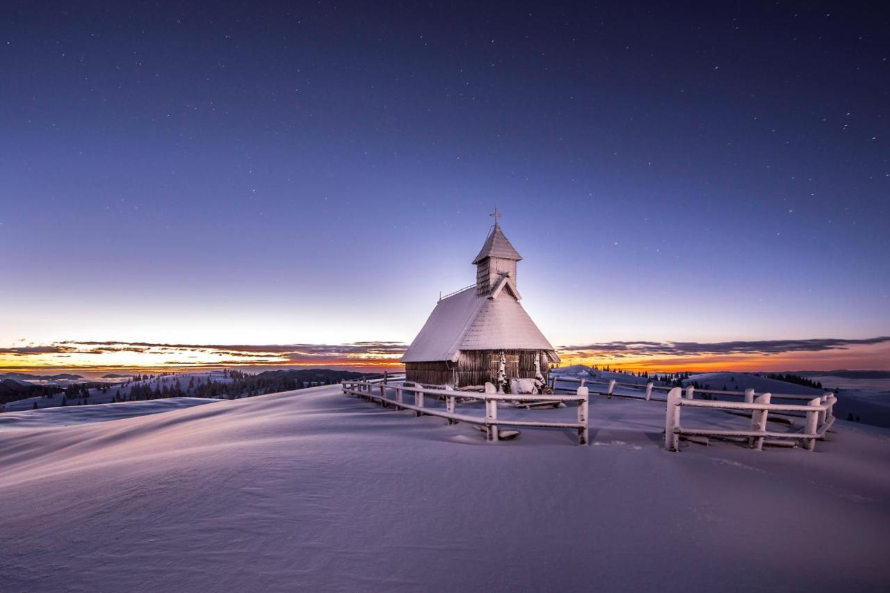 Vila Koca Ojstrica - Velika Planina Stahovica Exteriér fotografie
