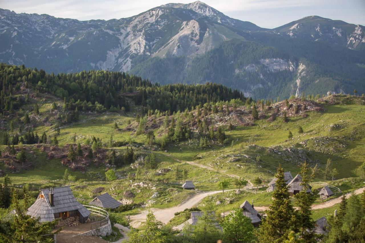 Vila Koca Ojstrica - Velika Planina Stahovica Exteriér fotografie
