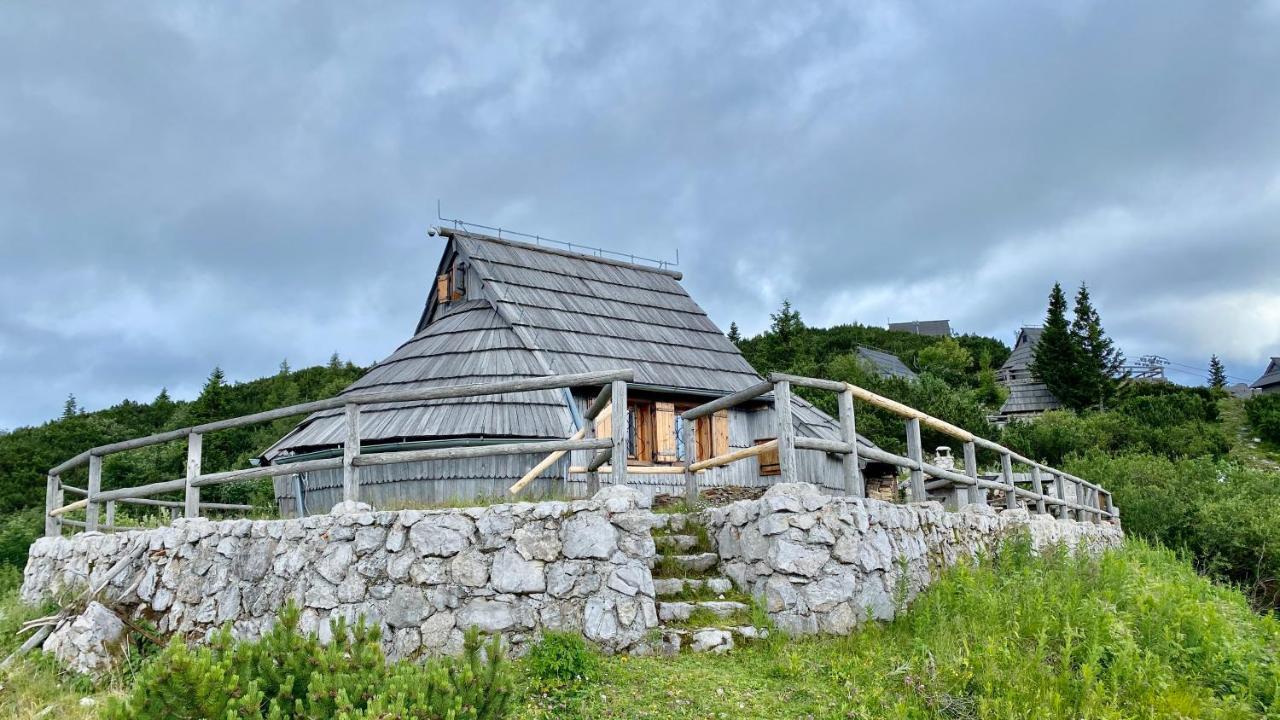 Vila Koca Ojstrica - Velika Planina Stahovica Exteriér fotografie