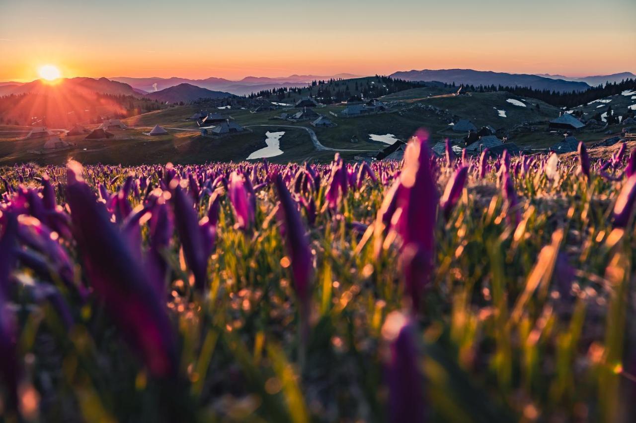 Vila Koca Ojstrica - Velika Planina Stahovica Exteriér fotografie