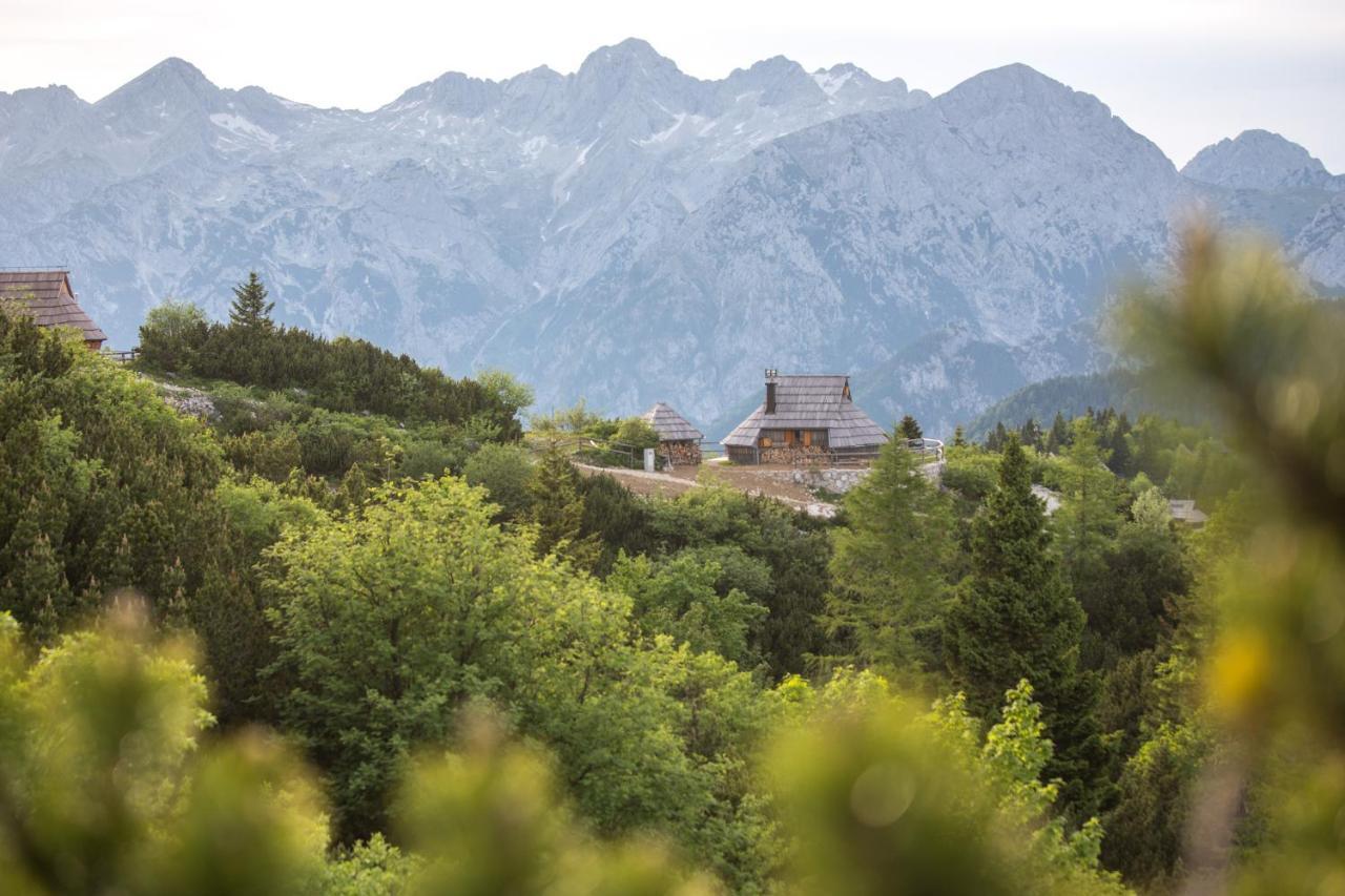 Vila Koca Ojstrica - Velika Planina Stahovica Exteriér fotografie