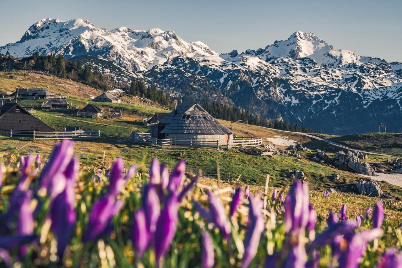 Vila Koca Ojstrica - Velika Planina Stahovica Exteriér fotografie