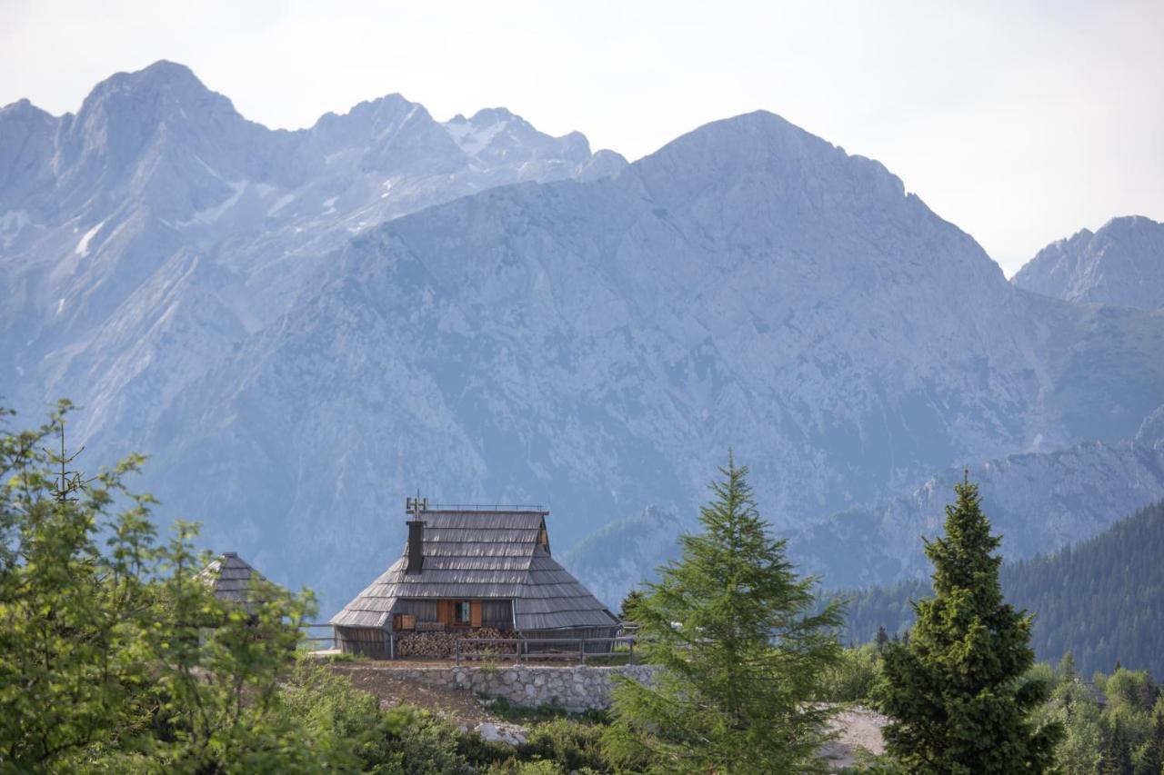 Vila Koca Ojstrica - Velika Planina Stahovica Exteriér fotografie