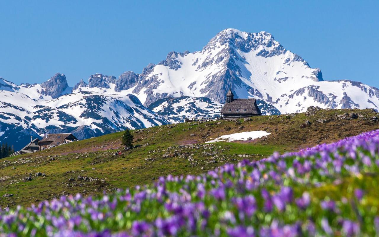 Vila Koca Ojstrica - Velika Planina Stahovica Exteriér fotografie