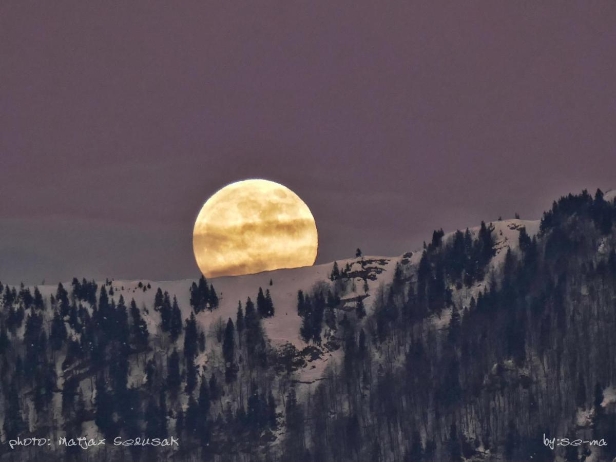 Vila Koca Ojstrica - Velika Planina Stahovica Exteriér fotografie