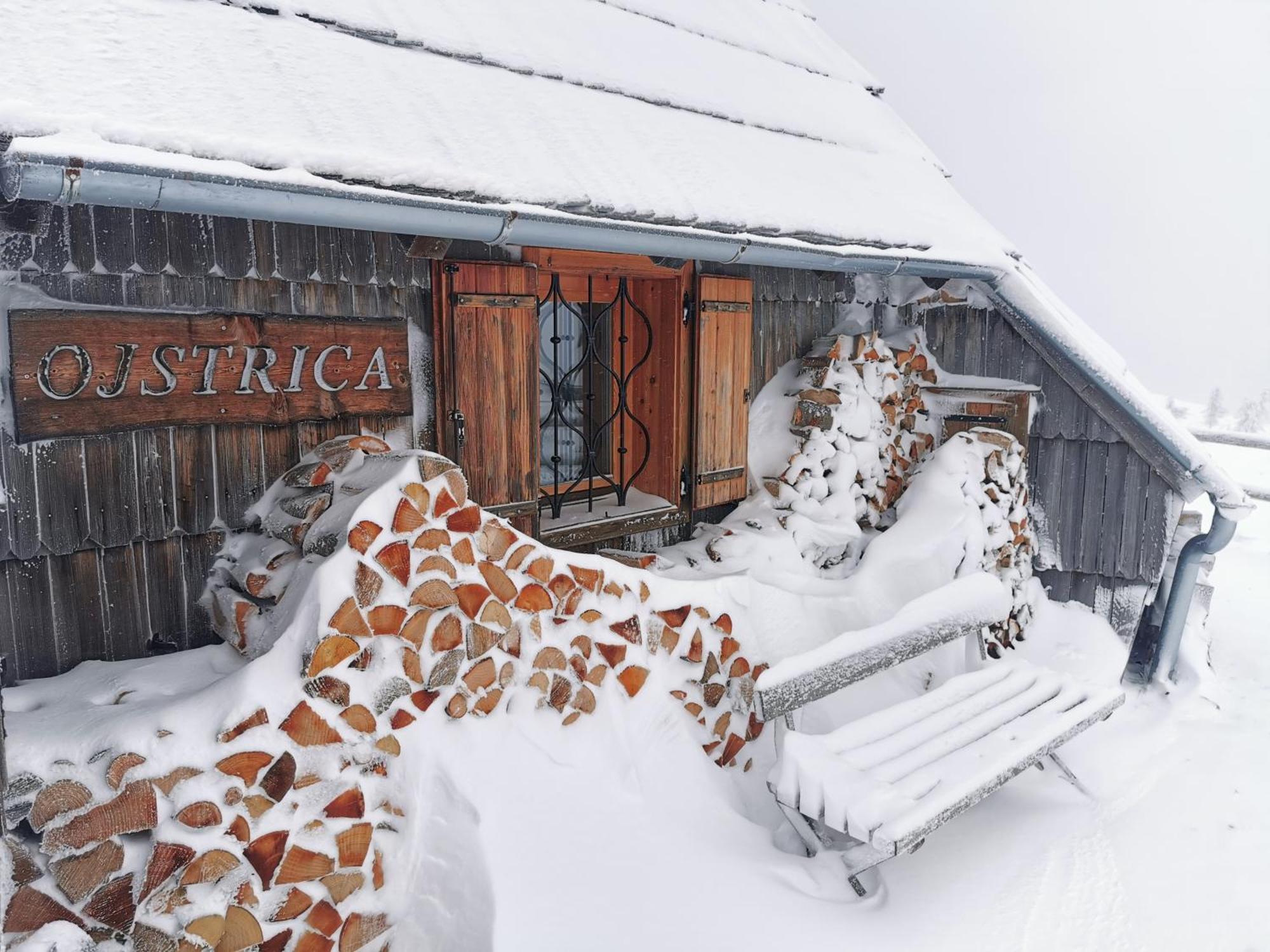 Vila Koca Ojstrica - Velika Planina Stahovica Exteriér fotografie