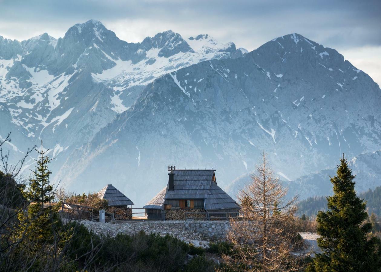 Vila Koca Ojstrica - Velika Planina Stahovica Exteriér fotografie
